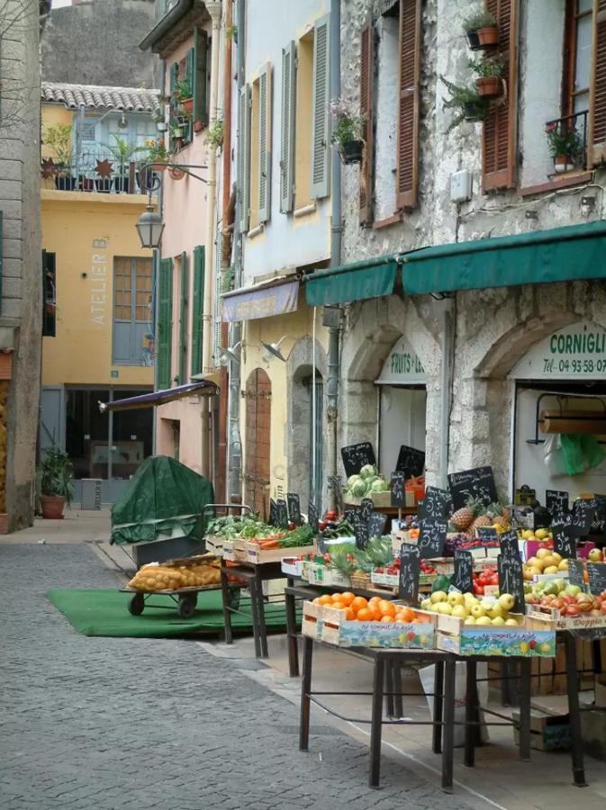 Villa French Riviera Gaudissard à Vence Extérieur photo